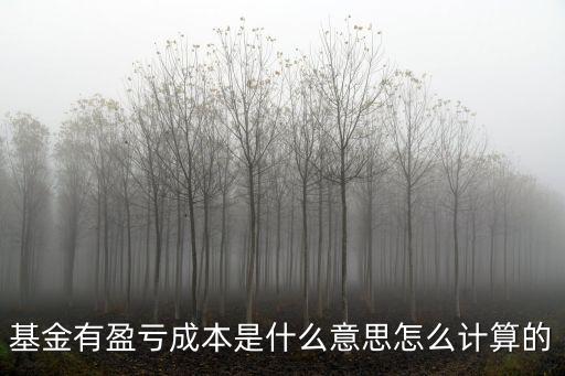 基金有盈虧成本是什么意思怎么計(jì)算的