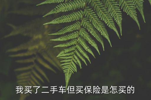 我買了二手車但買保險(xiǎn)是怎買的