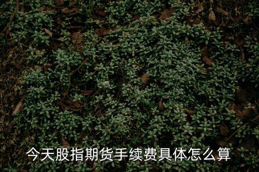 今天股指期貨手續(xù)費(fèi)具體怎么算