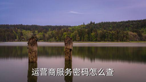 運(yùn)營(yíng)商服務(wù)密碼怎么查