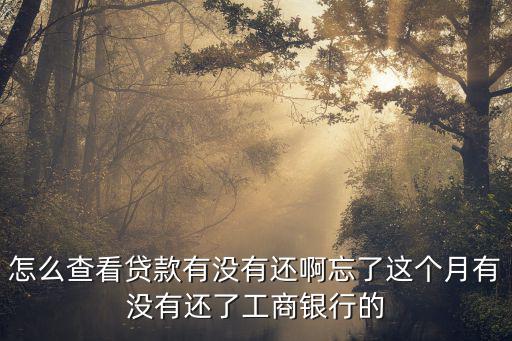 怎么查看貸款有沒(méi)有還啊忘了這個(gè)月有沒(méi)有還了工商銀行的