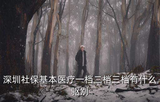 深圳社?；踞t(yī)療一檔二檔三檔有什么驅(qū)別