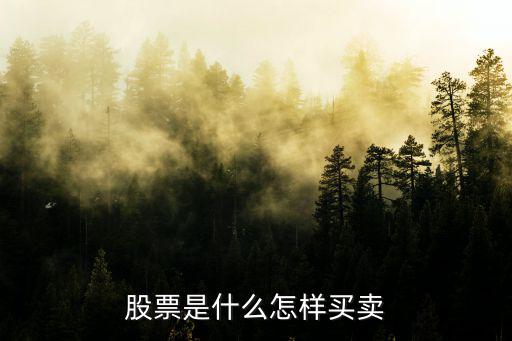 股票 是怎么交易的，股票是怎樣進(jìn)行交易的