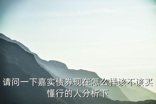 請(qǐng)問(wèn)一下嘉實(shí)債券現(xiàn)在怎么樣該不該買(mǎi)懂行的人分析下