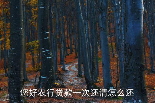 您好農(nóng)行貸款一次還清怎么還