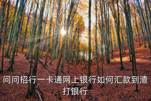 怎么轉(zhuǎn)賬到渣打銀行，問問招行一卡通網(wǎng)上銀行如何匯款到渣打銀行