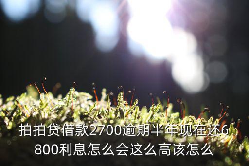 拍拍貸怎么降低利息，拍拍貸借款2700逾期半年現(xiàn)在還6800利息怎么會(huì)這么高該怎么