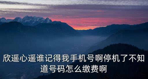 欣遙心遙誰記得我手機號啊停機了不知道號碼怎么繳費啊