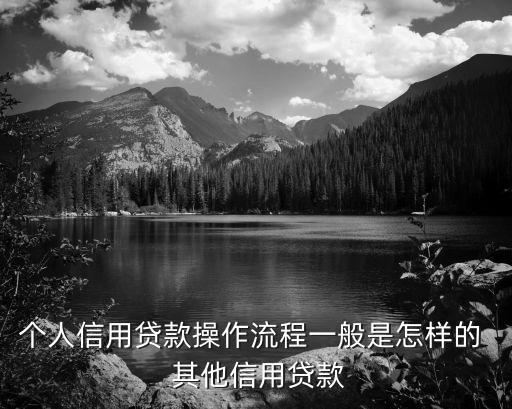 個人信用貸款操作流程一般是怎樣的  其他信用貸款
