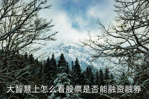 大智慧上怎么看股票是否能融資融券
