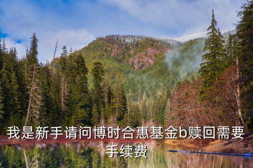博時(shí)合惠貨幣b怎么賣出，博時(shí)合惠貨幣基金B(yǎng)賣出錢是到余額寶嗎