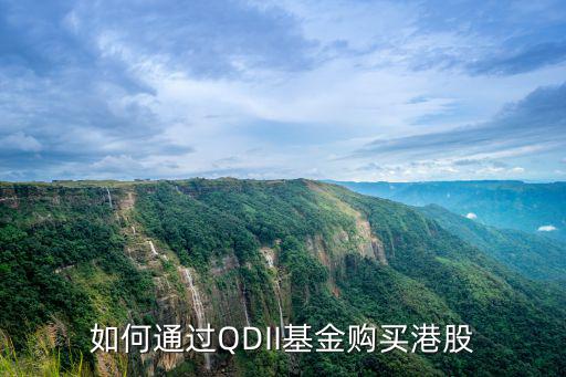 如何通過QDII基金購買港股
