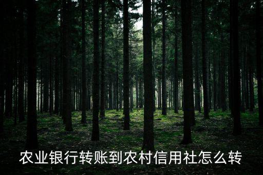 農(nóng)業(yè)銀行轉(zhuǎn)賬到農(nóng)村信用社怎么轉(zhuǎn)