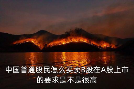 中國(guó)普通股民怎么買(mǎi)賣(mài)B股在A股上市的要求是不是很高