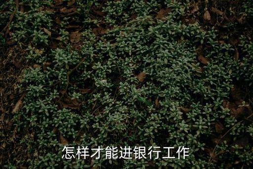 怎樣才能進銀行工作