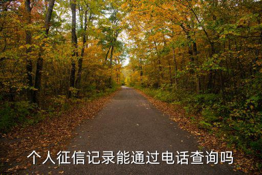 個人征信記錄能通過電話查詢嗎