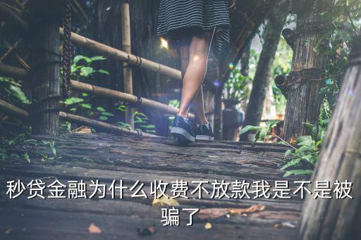 秒貸怎么放款，東風秒貸多久放款