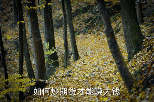 期貨怎么炒才能賺大錢，怎樣炒期貨才能賺錢呢我在中量期貨投了不少錢但是沒賺幾個錢呢