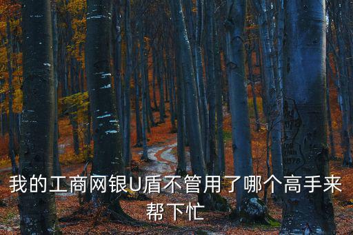 我的工商網(wǎng)銀U盾不管用了哪個(gè)高手來(lái)幫下忙