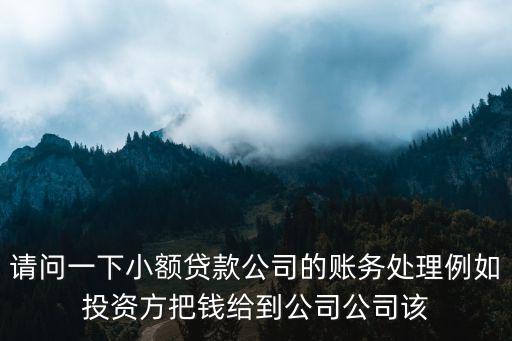 請問一下小額貸款公司的賬務(wù)處理例如投資方把錢給到公司公司該