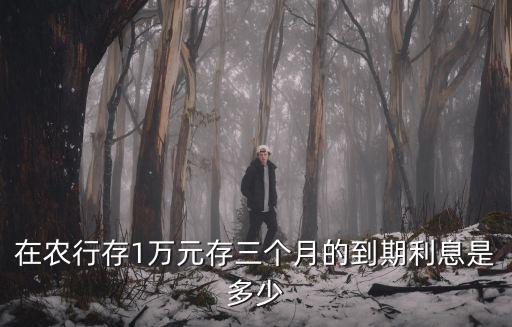 農(nóng)行三個(gè)月利息怎么算，中國農(nóng)業(yè)銀行整存整取存期3個(gè)月利息怎么算