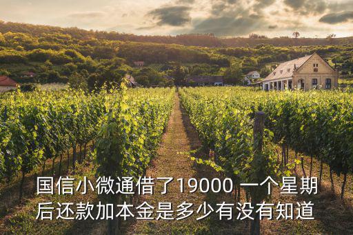 國信小微通借了19000 一個星期后還款加本金是多少有沒有知道
