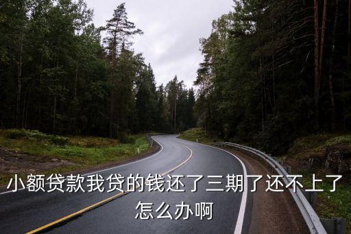 小額貸款我貸的錢還了三期了還不上了怎么辦啊