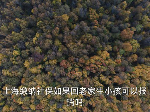 上海繳納社保如果回老家生小孩可以報(bào)銷嗎