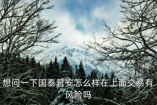 想問一下國泰君安怎么樣在上面交易有風(fēng)險嗎
