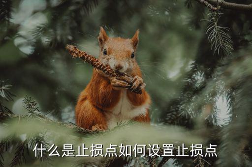 移動(dòng)止損怎么做，移動(dòng)止損是不是必須軟件開啟才可以