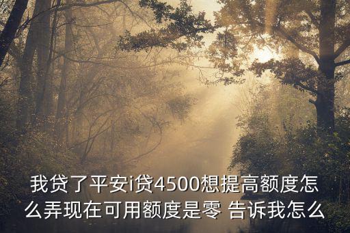 平安i貸怎么主動提額，平安易貸怎么提高額度