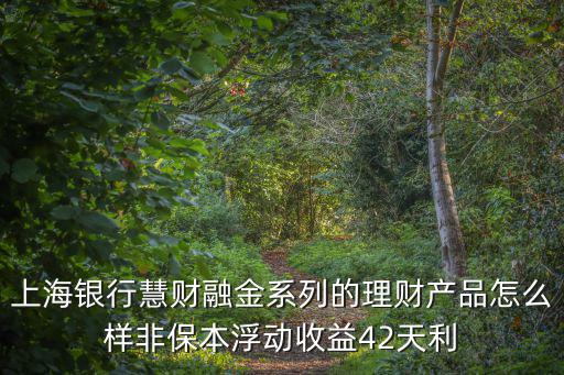 上海銀行慧財(cái)融金系列的理財(cái)產(chǎn)品怎么樣非保本浮動(dòng)收益42天利