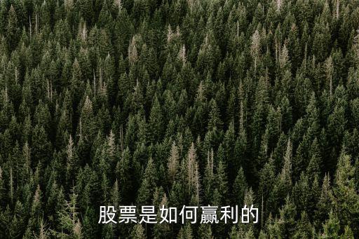 股票是如何贏利的