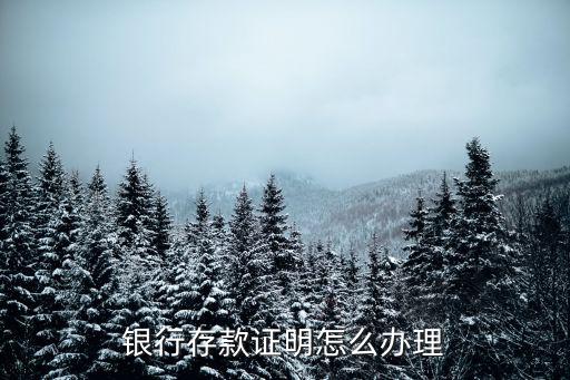 銀行存款證明怎么辦理