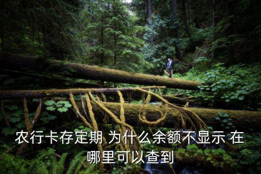 農(nóng)行卡存定期 為什么余額不顯示 在哪里可以查到