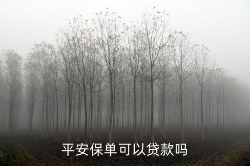 平安保單可以貸款嗎