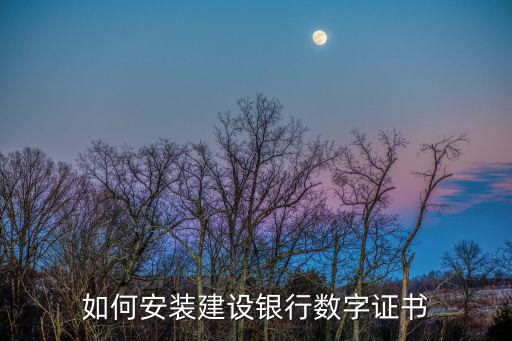 怎么安裝數(shù)字證書，怎么下載免費的數(shù)字證書安裝導(dǎo)出