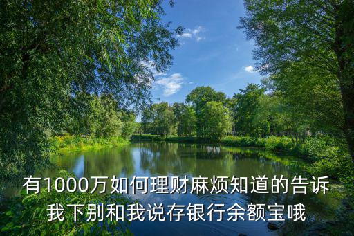 有1000萬如何理財麻煩知道的告訴我下別和我說存銀行余額寶哦