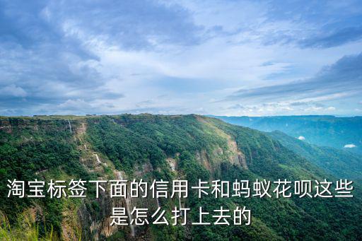 淘寶標(biāo)簽下面的信用卡和螞蟻花唄這些是怎么打上去的
