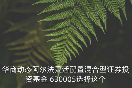 華商動態(tài)阿爾法靈活配置混合型證券投資基金 630005選擇這個
