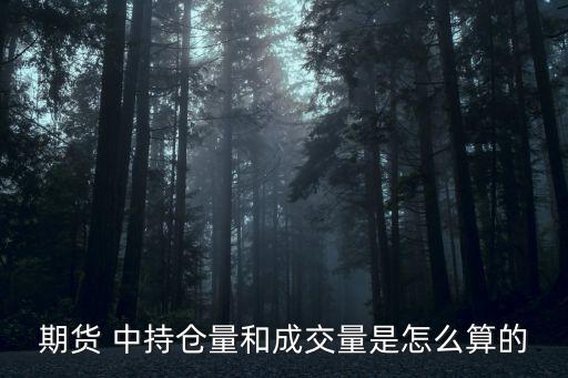 期貨 中持倉量和成交量是怎么算的
