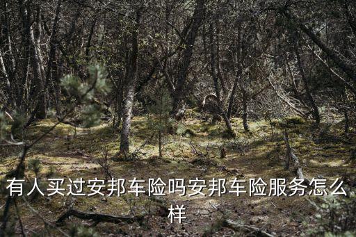 有人買過安邦車險(xiǎn)嗎安邦車險(xiǎn)服務(wù)怎么樣