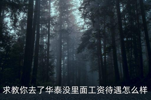 求教你去了華泰沒里面工資待遇怎么樣
