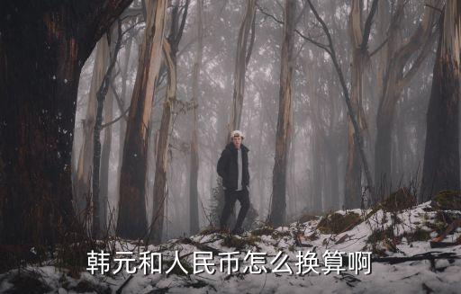 韓元和人民幣怎么換算啊