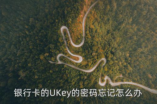 ukey密碼忘了怎么辦，山東省農(nóng)村信用社 ukey密碼忘記了怎么辦