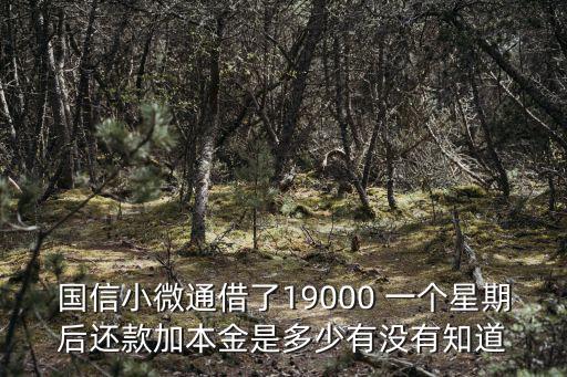 國(guó)信小微通借了19000 一個(gè)星期后還款加本金是多少有沒有知道