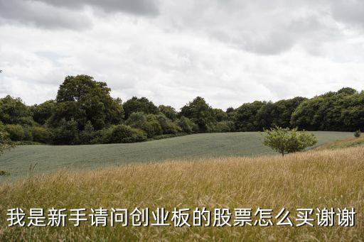 創(chuàng)業(yè)版股票怎么買(mǎi)，如何購(gòu)買(mǎi)創(chuàng)業(yè)板股票需要具備什么條件