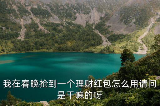 我在春晚?yè)尩揭粋€(gè)理財(cái)紅包怎么用請(qǐng)問(wèn)是干嘛的呀