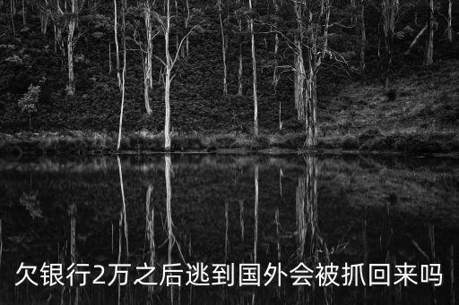 信用卡逃逸國外怎么辦，欠銀行2萬之后逃到國外會被抓回來嗎