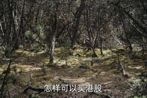 港股怎么買，怎樣可以買港股